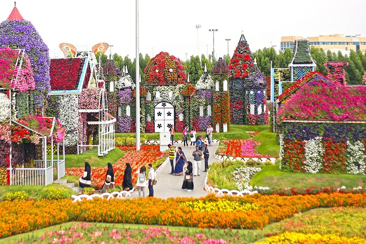 View the Palm with Miracle Garden